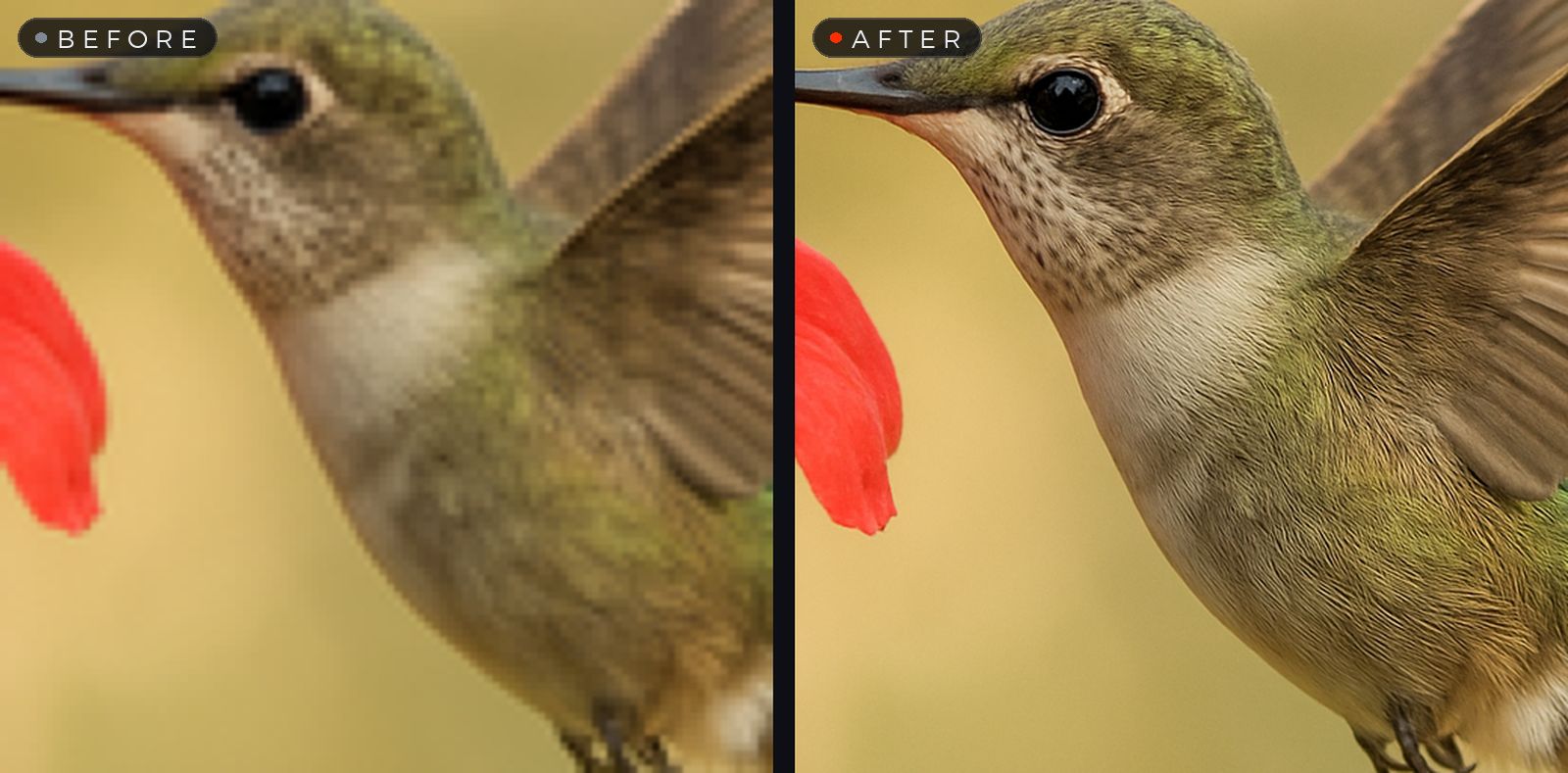 A blurry detail versus its sharp upscaled version